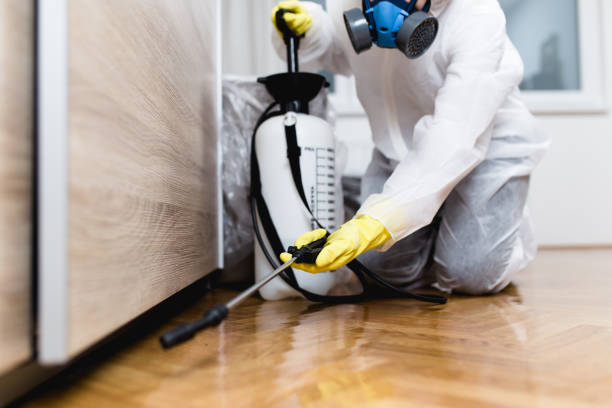 Best Exterminator Services  in Deep River Center, CT