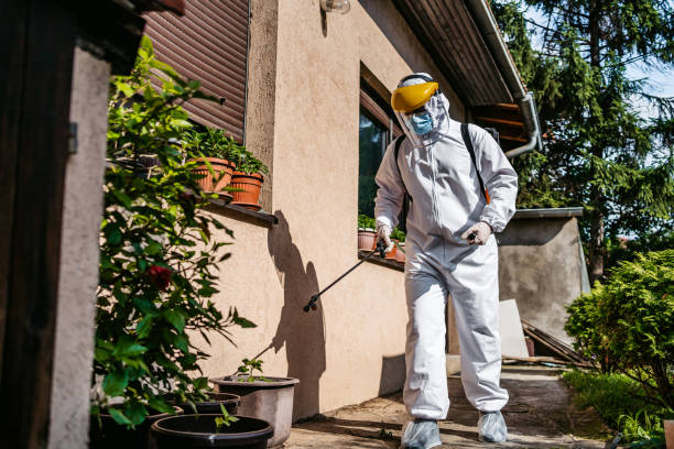 Best Spider Control Near Me  in Deep River Center, CT
