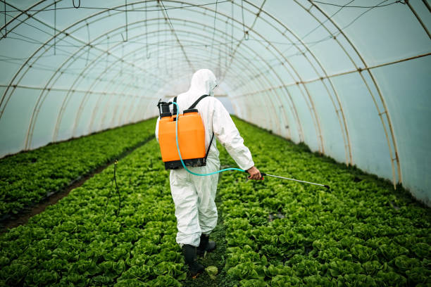 Best Pest Inspection Near Me  in Deep River Center, CT